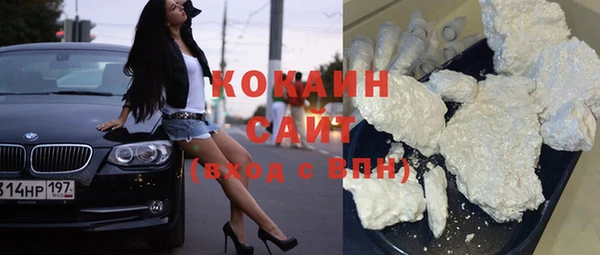 шишки Нея