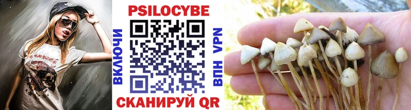 Псилоцибиновые грибы Psilocybine cubensis  Сосновоборск 
