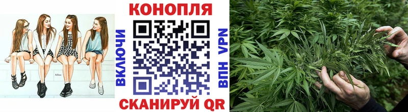 купить  сайты  Сосновоборск  Канабис OG Kush 